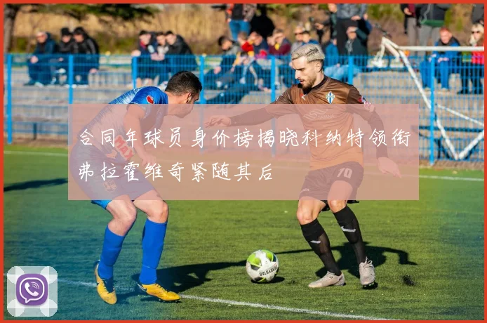 合同年球员身价榜揭晓科纳特领衔弗拉霍维奇紧随其后