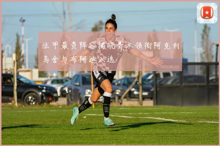 法甲最贵阵容揭晓青木领衔阿克利乌舍与布阿迪入选