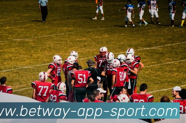 必威体育平台生态图