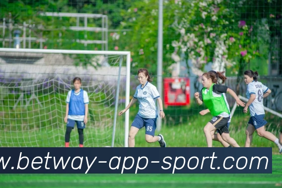 必威体育APP 封面图