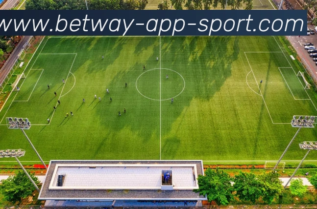 数据防护可视化